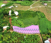 E cần bán sỉ lốc xuân sơn giá đầu tư . 15 ngày nữa có sổ . e cho cọc 40 ngày công chứng ạ