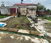 Bán đất sổ đỏ   lô góc đường 5m tại câu thượng, quang hưng, an lão, hải phòng