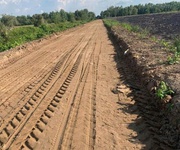 Bán đất chính chủ   đường tây kênh 500, thị trấn mỹ phước, tân phước, tiền giang