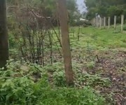 2 Chính chủ bán 1167,3m2 đất tại xã nghĩa thuận, huyện tư nghĩa, tỉnh quảng ngãi. 2 Chính chủ bán 1167,3m2 đất tại xã nghĩa thuận, huyện tư nghĩa, tỉnh quảng ngãi.