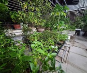 Hộ khẩu phố cổ-Biệt thự 6 tầng-Thang Máy chạy vù vù-Oto-42m2-Công chứng ở luôn