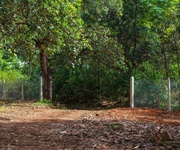 4 Muốn Mua Đất Bám Suối View Hồ Trị An Có Sẵn Nhà Ở Lô Này Đẹp Tới Mức Không Cần Sửa 4 Muốn Mua Đất Bám Suối View Hồ Trị An Có Sẵn Nhà Ở Lô Này Đẹp Tới Mức Không Cần Sửa