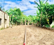 1 Lô Đẹp Dễ Thanh Khoản Điện Bàn Chỉ 6xx Triệu 1 Lô Đẹp Dễ Thanh Khoản Điện Bàn Chỉ 6xx Triệu