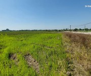 Đất ruộng.1500m2, mt40m, 310 tr/ sào. Đất ruộng.1500m2, mt40m, 310 tr/ sào.