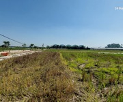 1 Đất ruộng.1500m2, mt40m, 310 tr/ sào. 1 Đất ruộng.1500m2, mt40m, 310 tr/ sào.