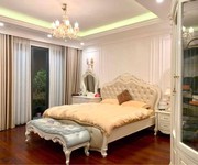 3 Hiếm  bán nhà đào tấn ô tô vào nhà, kinh doanh, chỉ 29 tỷ