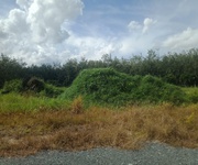 Cần bán 2 công đất chính chủ tại trường xuân, xã trường hòa,  hòa thành, tây ninh