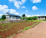 Nam ban-lâm hà dt 5 26m sẵn thổ cư sát địa phận đà lạt 12km view rừng thông chill chill mát mẻ giá