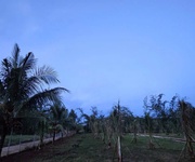 Chỉnh chủ bán siêu phẩm đất đẹp - phù hợp cho mọi gia đình