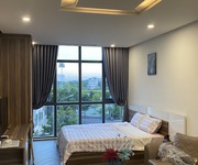 2 Cho thuê căn hộ cao cấp 1 ngủ  Studio  35m2 Waterfront City.