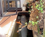 3 Bán biệt thư cổ đẳng cấp đ. tú xương, quận 3 - hiếm - 9m 12m - xung quanh toàn quan chức hội tụ 3 Bán biệt thư cổ đẳng cấp đ. tú xương, quận 3 - hiếm - 9m 12m - xung quanh toàn quan chức hội tụ