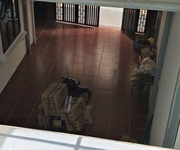 Cho thuê phòng cao cấp   nhà mới xây   full nội thất tại số 34 ngõ 81 phố trạm, long biên