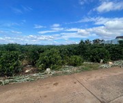 1 Đất đẹp   giá đầu tư - cần bán lô đất tại xã tân hội  huyện đức trọng, tỉnh lâm đồng