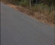 5 Bán 1732 m đất đường phạm văn cội củ chi. lh:0938677702. 5 Bán 1732 m đất đường phạm văn cội củ chi. lh:0938677702.