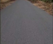 6 Bán 1732 m đất đường phạm văn cội củ chi. lh:0938677702. 6 Bán 1732 m đất đường phạm văn cội củ chi. lh:0938677702.