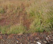 1 Đường nhựa cách đường bình ba 100m cách vòng xoay 500m 1 Đường nhựa cách đường bình ba 100m cách vòng xoay 500m