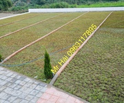 2 ĐẤT ĐẸP CƯ YÊN   giá đầu tư f0