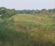 Bán đất nông nghiệp 4678m2 sổ hồng mt 5m đường tám sáng, tân bình, châu thành, đồng tháp. giá 1.5