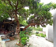 Bán đất hai mặt tiền trước sau, dương quang, gia lâm. cách 1 nhà ra ô tô.