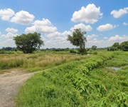 1 T1753 đất thạnh xuân 52 hóc môn, shr, hxt, 55x51m, 16.x tỷ 1 T1753 đất thạnh xuân 52 hóc môn, shr, hxt, 55x51m, 16.x tỷ