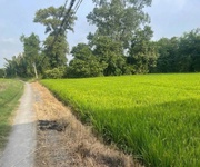 2 Tôi chính chủ bán đất lô đất xã cần đước, tỉnh tây ninh. 2 Tôi chính chủ bán đất lô đất xã cần đước, tỉnh tây ninh.