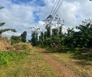 Ea kiết- cư mgar dt 450m2 sẵn thổ cư đường oto tới đất đất full cà phê xen sầu riêng cho thu giá
