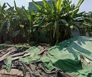 3 Cho thuê đất trống làm kho bãi, văn phòng giao dịch