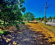 Bán Đất Vườn Bưởi Rộng   Đường Lớn   Kề KCN Bàu Bàng, Giá Chưa Tới 1 Tỷ