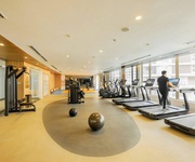 2 Chính chủ cho thuê nhà nguyên căn, full nội thất khu phố m7 signature, midtown, phú mỹ hưng, q7