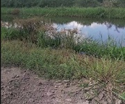 Bán gấp đất vườn 6.900m    phụng hiệp, cần thơ   ô tô 7 chỗ tới đất