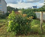 1300m2 hẻm đối diện trường cấp 3 hoàng hoa thắm, n thôn hạ, đức trọng cũ, lâm đồng