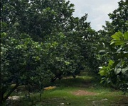 2 Bán đất thổ cư xã trừ văn thố   gần ql13   giá tốt