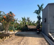 Cơ hội đầu tư / làm nhà vườn siêu đẹp hợp đức, nam đồ sơn Cơ hội đầu tư / làm nhà vườn siêu đẹp hợp đức, nam đồ sơn