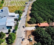 1 Bán đất vườn bưởi sinh thái Trừ Văn Thố   Bàu Bàng 250m , sổ riêng, có thu hoạch, giá tốt