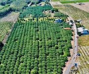 2  350 Triệu Sở Hữu Đất Mặt Tiền Trừ Văn Thố   Bàu Bàng 