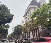 Mặt Phố Phan Chu Trinh- Hilton Lô Góc 3 Mặt Thoáng 160 Tỷ 7 Tầng Thang Máy