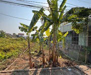 18,x tr/m    đất trục đường quyết tiến, hợp đức, đồ sơn  quỹ đất hiếm   phù hợp đầu tư dòng tiền