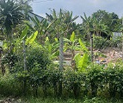 Chủ gửi bán gấp đất rộng gần 1.500m măng thít, vĩnh long Chủ gửi bán gấp đất rộng gần 1.500m măng thít, vĩnh long