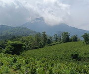 Hot     sở hữu ngay lô đất đẹp - giá tốt - vị trí đắc địa tại thôn hợp sơn, ba vì, tphn