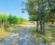 Bán 4000m2 đất tân phước -  lagi gái rẻ nhất 850tr/ sào sổ riêng