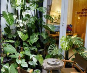 Phú nhuận nhà 3 tầng btct - 5 phút qua q1- 50m ra mặt tiền phan đình phùng - 9,850 tỷ tl