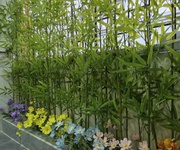 4 Bán nhà phố Đào Tấn Ba Đình, diện tích 100m2, giá 5.4 tỷ có thương lượng