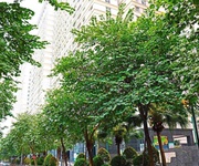 Chính chủ bán căn hộ ct7e - kđt the sparks dương nội, đối diện đại học phenikaa.