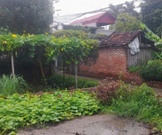 Chính chủ bán 55m  và 46m , đất nở hậu,ngõ xe tải tại Mỹ Nội, Đông Anh