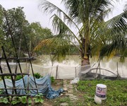 Hơn 13000m2, đất ruộng sxnn, sẵn nhà kho,.. mt150m, 6.5 tỷ, có tl, thụy lâm, đông anh.   đường