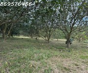 Đất vườn giá chỉ 150 tr có ngay 500 mét tại khánh hoà