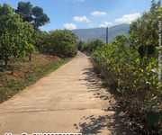 Bán Lô Đất Lớn Đồng Thanh-Lâm Hà, Lâm Đồng Bán Lô Đất Lớn Đồng Thanh-Lâm Hà, Lâm Đồng