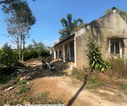 3 Bán Lô Đất Lớn Đồng Thanh-Lâm Hà, Lâm Đồng 3 Bán Lô Đất Lớn Đồng Thanh-Lâm Hà, Lâm Đồng