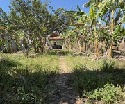 Chính chủ bán đất tại ấp 5 xã phú giáo, tp.hcm  khu phố 5, thị trấn phước vĩnh