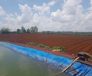 Cần bán 2,4 ha đất hẻm thuộc n,thôn hạ đức trọng cũ, lâm đồng